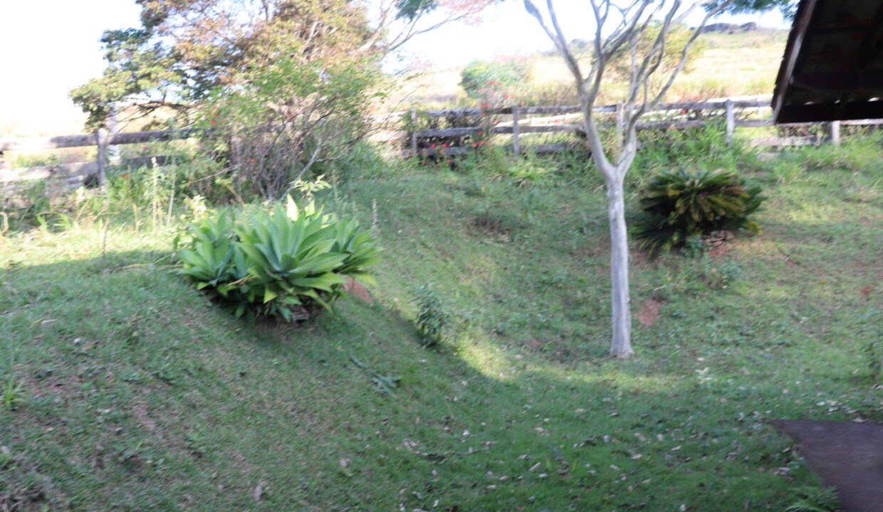 19 QUINTAL LATERAL